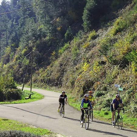 Wellness Am Rain Gasthuis Winden im Elztal