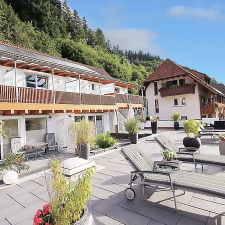 Casa de hóspedes Wellness Am Rain 4*