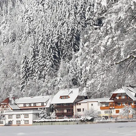 Wellness Am Rain 3*