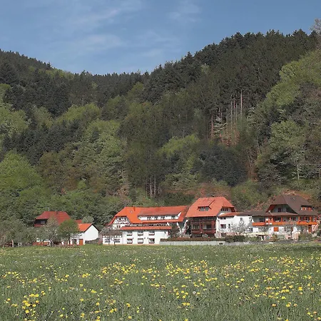 Gasthof Wellness Am Rain Winden im Elztal